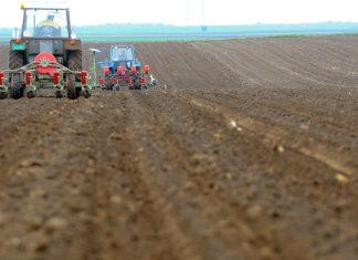 Izmenama Pravilnika u biljnoj proizvodnji definisano pravdanje podsticaja po hektaru: Javni poziv od ponedeljka, 2. marta, ovo su detalji izmenama-pravilnika-u-biljnoj-proizvodnji-definisano-pravdanje-podsticaja-po-hektaru:-javni-poziv-od-ponedeljka,-2.-marta,-ovo-su-detalji