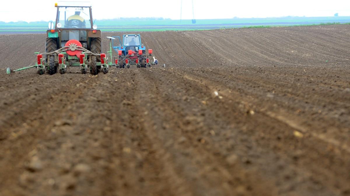 izmenama-pravilnika-u-biljnoj-proizvodnji-definisano-pravdanje-podsticaja-po-hektaru:-javni-poziv-od-ponedeljka,-2.-marta,-ovo-su-detalji izmenama-pravilnika-u-biljnoj-proizvodnji-definisano-pravdanje-podsticaja-po-hektaru:-javni-poziv-od-ponedeljka,-2.-marta,-ovo-su-detalji