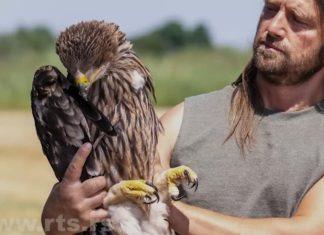 DRAMATIČAN PUT SRPSKOG ORLA FELIKSA Upao u zamku, završio na Bliskom istoku! Evo kako je spašen dramatican-put-srpskog-orla-feliksa-upao-u-zamku,-zavrsio-na-bliskom-istoku!-evo-kako-je-spasen