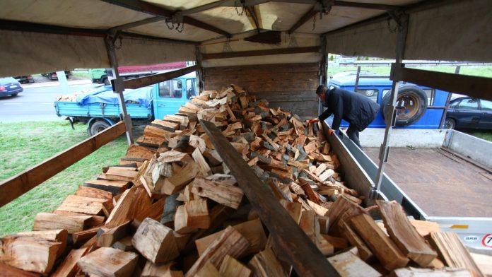 uobicajene-greske-pri-skladistenju-drva-za-ogrev:-evo-kada-najvise-privlace-stetocine