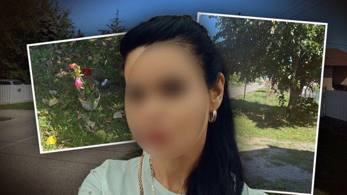 “krst-koji-nosim-je-pretezak,-ali-valjda-tako-mora”-pijani-vozac-iz-bogatica-pregazio-milenu-dok-je-bila-sa-detetom-(3),-njen-suprug-otkrio:-“najteze-mi-je-bilo-da-kazem-sinu-sta-se-dogodilo”