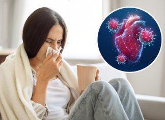 U SRBIJI SE POJAVIO NOVI SUPER VIRUS KOJI RAZARA PLUĆA!? Oglasio se Šekler za Kurir: “Imali smo najavu da će se ovo desiti!” u-srbiji-se-pojavio-novi-super-virus-koji-razara-pluca!?-oglasio-se-sekler-za-kurir:-“imali-smo-najavu-da-ce-se-ovo-desiti!”