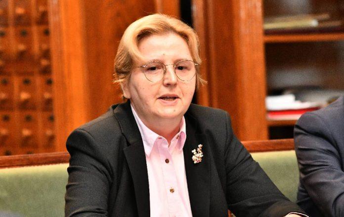 dolovac-izmislja-pritiske-i-napada-bia:-pokusava-da-navodnim-“aferama”-izborni-proces-za-vst-izmesti-iz-zakonske-procedure?