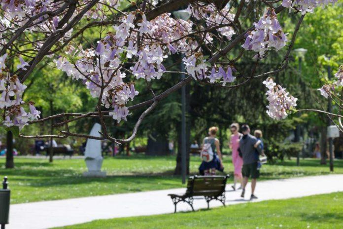 totalni-vremenski-obrt,-rhmz-iznenadio-prognozom:-sledi-neocekivana-promena-vec-ove-nedelje,-temperatura-ide-u-minus