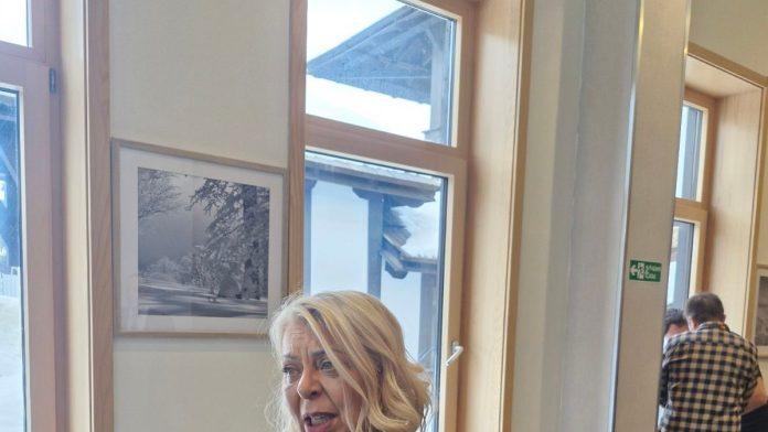 prvi-voz-do-budimpeste-do-kraja-marta-ministarka-sofronijevic-za-“blic-biznis”:-poznata-moguca-cena-karte!-evo-kako-ce-funkcionisati-prelazak-granice