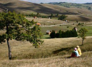 STIŽE NOVAC ZA ŽENE U RURALNIM KRAJEVIMA: Država deli do milion dinara stize-novac-za-zene-u-ruralnim-krajevima:-drzava-deli-do-milion-dinara