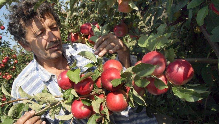 alarm-u-vocarstvu:-prinosi-deset-vrsta-na-minimumu alarm-u-vocarstvu:-prinosi-deset-vrsta-na-minimumu