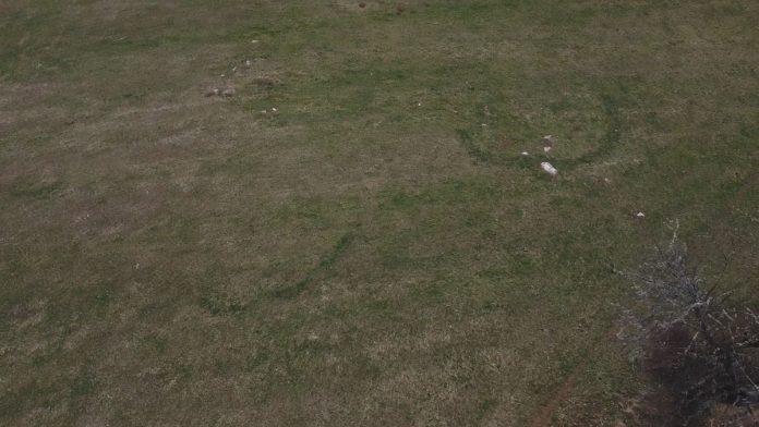 (foto)-misteriozna-pojava-kod-kosjerica-svake-godine-krece-u-isto-vreme,-mestani-u-cudu:-“sta-se-tu-desava-niko-ne-zna”