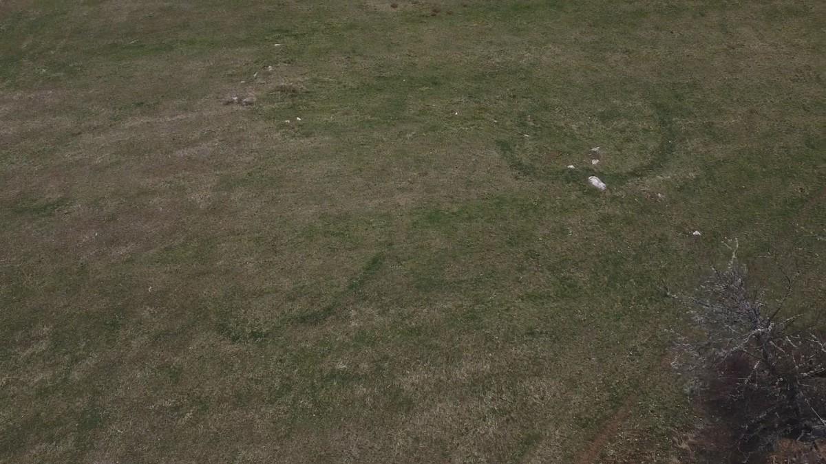 (foto)-misteriozna-pojava-kod-kosjerica-svake-godine-krece-u-isto-vreme,-mestani-u-cudu:-“sta-se-tu-desava-niko-ne-zna” (foto)-misteriozna-pojava-kod-kosjerica-svake-godine-krece-u-isto-vreme,-mestani-u-cudu:-“sta-se-tu-desava-niko-ne-zna”