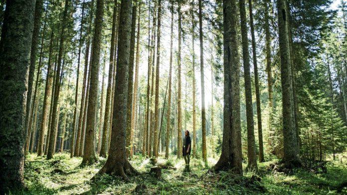 slovenacki-vrhovi,-reke-i-sume-pozivaju-na-nezaboravna-iskustva-tokom-svih-365-dana-u-godini