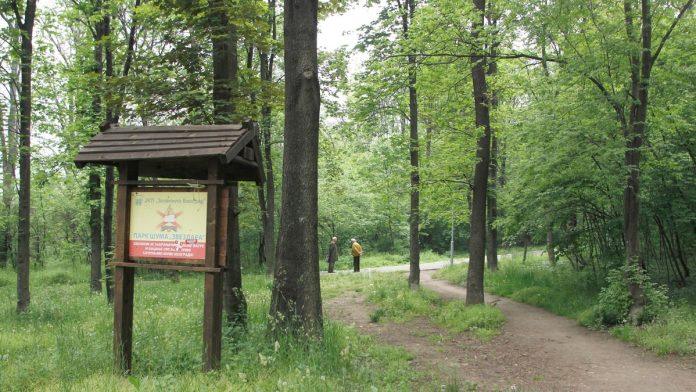 drama-u-zvezdarskoj-sumi!-pozvala-sina-na-telefon-i-od-tada-joj-se-gubi-svaki-trag:-policija-i-psi-traze-baku-(77)