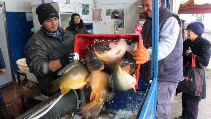 riba-skupa,-a-ribarstvo-na-nizbrdici:-povrsine-pod-ribnjacima-drasticno-smanjene-u-poslednje-tri-decenije