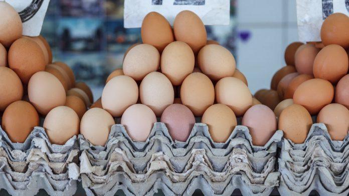 bela-jaja-osvajaju-police-u-marketima:-strucnjaci-otkrivaju-zasto-i-savetuju-na-sta-obratiti-paznju-prilikom-kupovine