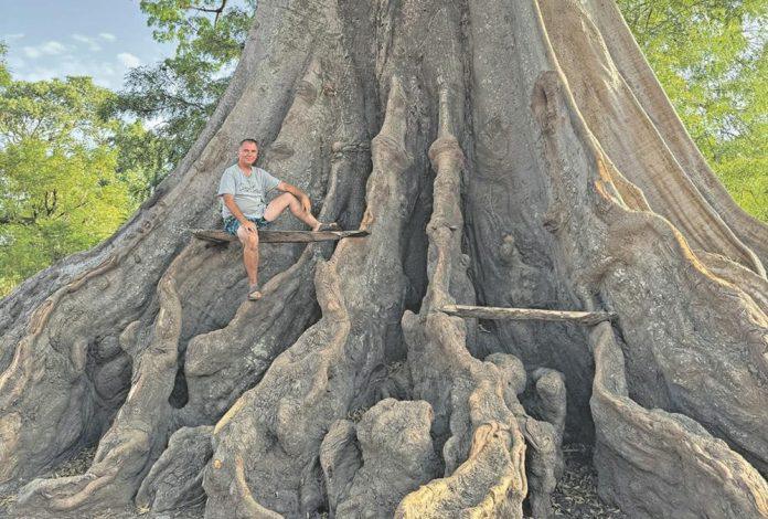 gambija:-jos-jedan-most-izmedu-srbije-i-afrike