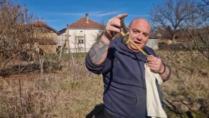 rano-prolece-probudilo-zmije-prva-intervencija-zmijolovca-kod-vladicinog-hana,-evo-sta-treba-da-uradite-ako-ih-sretnete