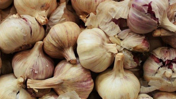 pun-budelar-za-povrtare:-profit-od-belog-luka-i-do-15.000-evra-–-evo-sta-treba-saditi