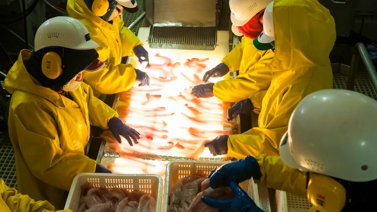 nasli-smo-posao-u-ovoj-zemlji-i-vratili-se-sa-15.000-dolara:-studenti-iz-beograda-nasli-nacin-da-sjajno-zarade,-evo-kako-su-se-prijavili nasli-smo-posao-u-ovoj-zemlji-i-vratili-se-sa-15.000-dolara:-studenti-iz-beograda-nasli-nacin-da-sjajno-zarade,-evo-kako-su-se-prijavili