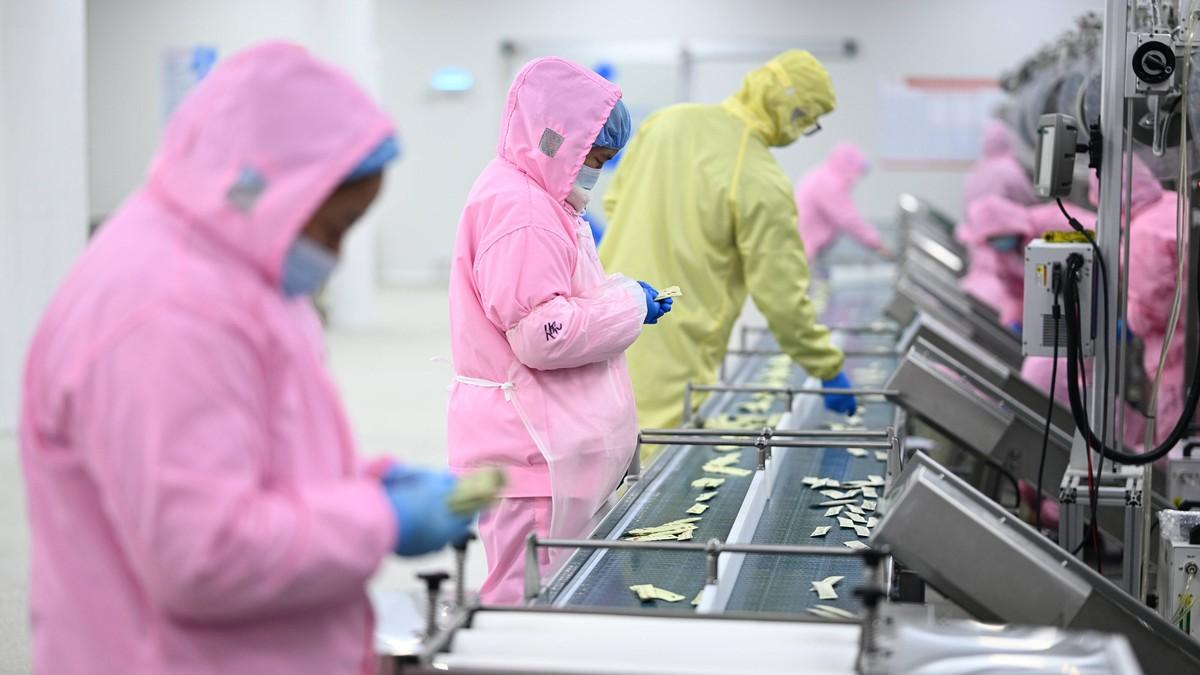 ko-se-odluci-da-radi-u-ovoj-industriji-postace-bogat:-u-pitanju-je-pravi-rudnik-zlata,-sad-je-vreme-da-se-krene ko-se-odluci-da-radi-u-ovoj-industriji-postace-bogat:-u-pitanju-je-pravi-rudnik-zlata,-sad-je-vreme-da-se-krene