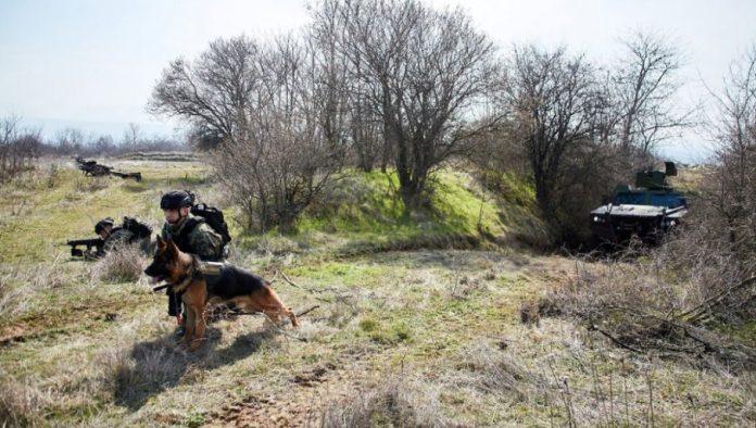 ministarstvo-odbrane-izdalo-saopstenje:-u-toku-obuka-jedinica-za-realizaciju-vojnopolicijskih-zadataka