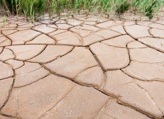 Dobitnik Nobelove nagrade predstavio solarnu mašinu koja pretvara vlagu iz vazduha u pijaću vodu: Naučnici veruju da može pomoći regionima bez vode dobitnik-nobelove-nagrade-predstavio-solarnu-masinu-koja-pretvara-vlagu-iz-vazduha-u-pijacu-vodu:-naucnici-veruju-da-moze-pomoci-regionima-bez-vode