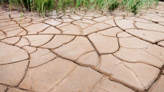 dobitnik-nobelove-nagrade-predstavio-solarnu-masinu-koja-pretvara-vlagu-iz-vazduha-u-pijacu-vodu:-naucnici-veruju-da-moze-pomoci-regionima-bez-vode