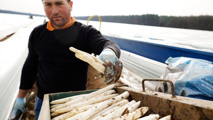 nemacka-hitno-trazi-radnike:-dnevnica-cak-100-evra-na-ruke,-nije-potrebna-nikakva-skola