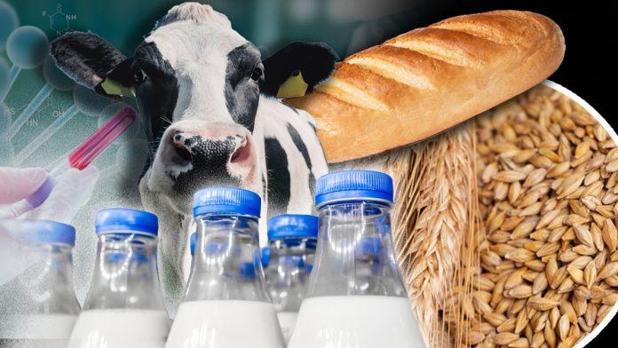 vlada-srbije-donela-odluku:-uvode-se-obavezni-pisani-ugovori-za-otkup-psenice,-mleka,-voca