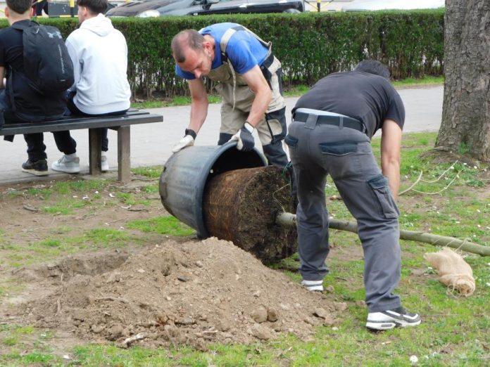 osam-sadnica-od-osam-razreda:-gest-maturanata-loznicke-tehnicke-skole-(foto)