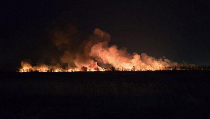 veliki-pozar-u-ritu-izmedu-beocina-i-rakovca:-kuce-nisu-ugrozene-(foto)