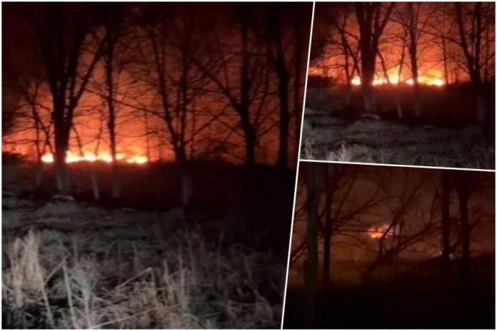 veliki-pozar-kod-crvenke-planula-veca-povrsina-poljoprivrednog-zemljista-i-niskog-rastinja,-preti-da-se-prosiri-na-okolne-parcele-i-objekte-video