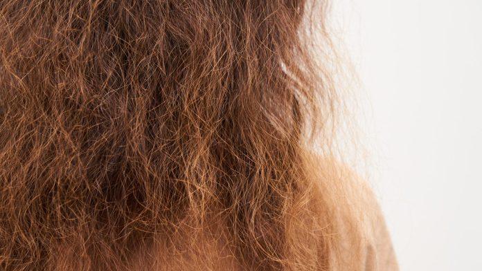 kako-vratiti-sjaj-i-mekocu-suvoj-kosi:-sedam-kucnih-tretmana