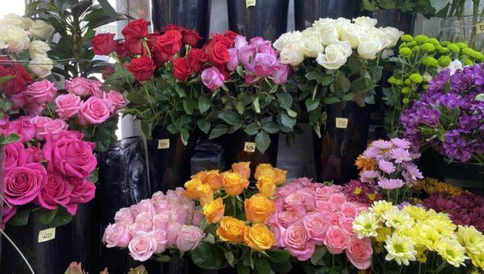 zasto-ne-gajimo-ruze?-srbija-ima-idealnu-klimu,-a-uvoz-cveca-je-visok