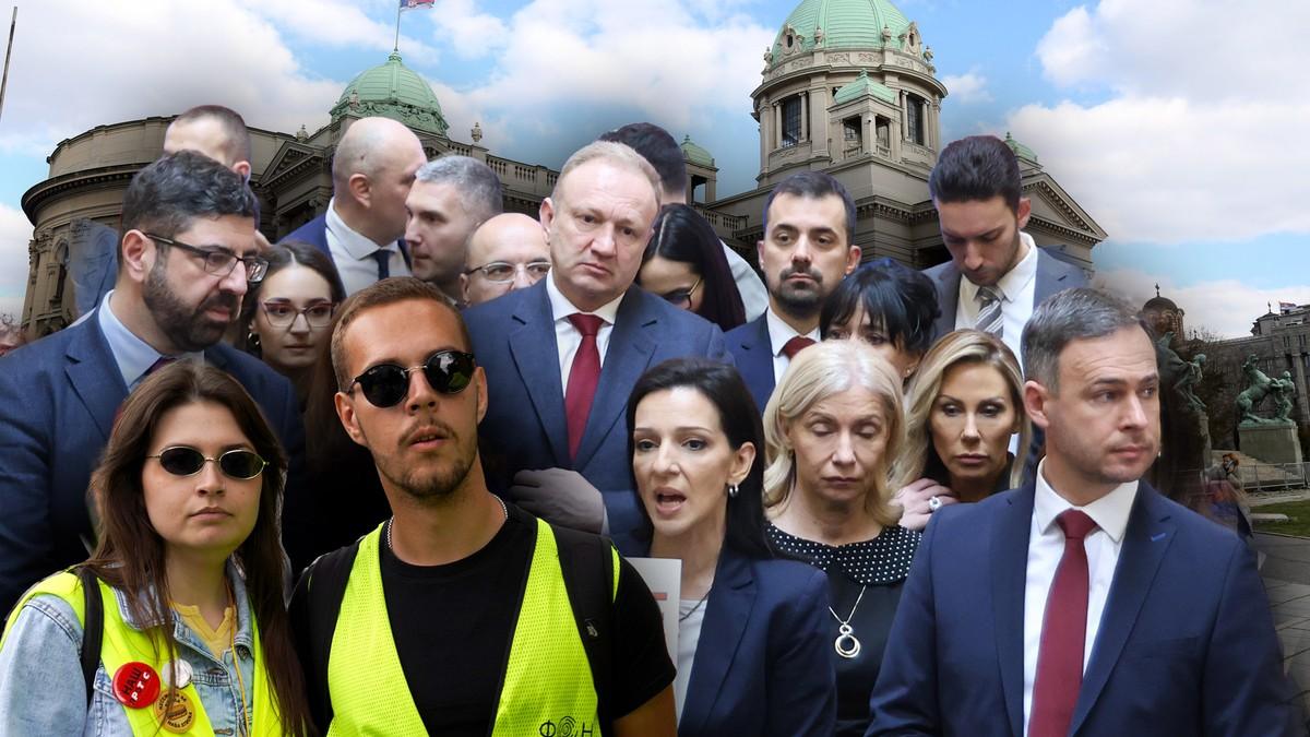 zbog-raskola-formirali-dve-liste-smederevska-palanka-najveca-“jabuka-razdora”-studentskog-pokreta-i-opozicije:-“nije-napad-na-studente-ako-iznesete-misljenje-koje-je-istina”