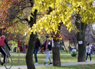NAKON HLADNOG JUTRA, PRETEŽNO SUNČANO I TOPLO: Vremenska prognoza za nedelju, 15. mart nakon-hladnog-jutra,-pretezno-suncano-i-toplo:-vremenska-prognoza-za-nedelju,-15.-mart