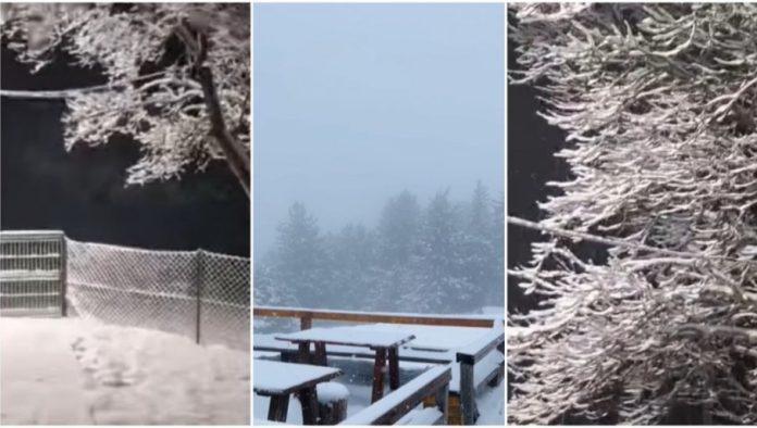 neverovatni-prizori:-sneg-zabeleo-u-sred-marta-sirom-srbije-–-sve-je-pocelo-da-cveta,-kad-ono…-(video)