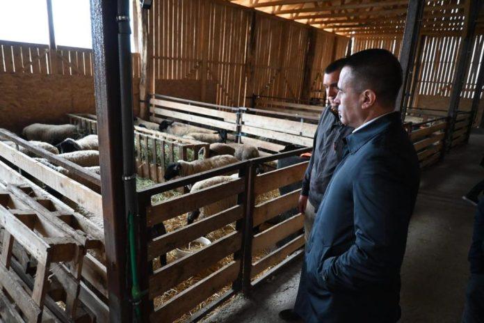 povratak-u-zavicaj-kao-nova-sansa:-ministar-milicevic-obisao-porodice-koje-su-iz-inostranstva-zivot-nastavile-u-srbiji-(foto)