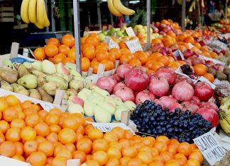 Nova sezona u voćnjacima počela uz veliku neizvesnost, kajsija već cveta i prva je na udaru: Da li će mraz ponovo obrisati rod i podići cene voća? (VIDEO) nova-sezona-u-vocnjacima-pocela-uz-veliku-neizvesnost,-kajsija-vec-cveta-i-prva-je-na-udaru:-da-li-ce-mraz-ponovo-obrisati-rod-i-podici-cene-voca?-(video)