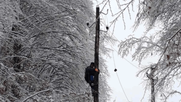 Нормализовано-снабдевањем-струјом-у-Рудну,-отклоњен-квар-на-далеководу