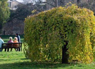 OD APRILA KREĆU U BANjE: Objavljene konačne rang-liste penzionera koji su ostvarili pravo na besplatan oporavak od-aprila-krecu-u-banje:-objavljene-konacne-rang-liste-penzionera-koji-su-ostvarili-pravo-na-besplatan-oporavak