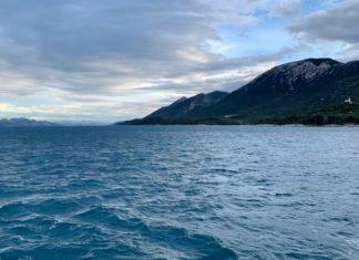 IZUZETNO OPASNA ŽIVOTINjA UHVAĆENA U JADRANU: Njen otrov može dovesti i do smrti izuzetno-opasna-zivotinja-uhvacena-u-jadranu:-njen-otrov-moze-dovesti-i-do-smrti