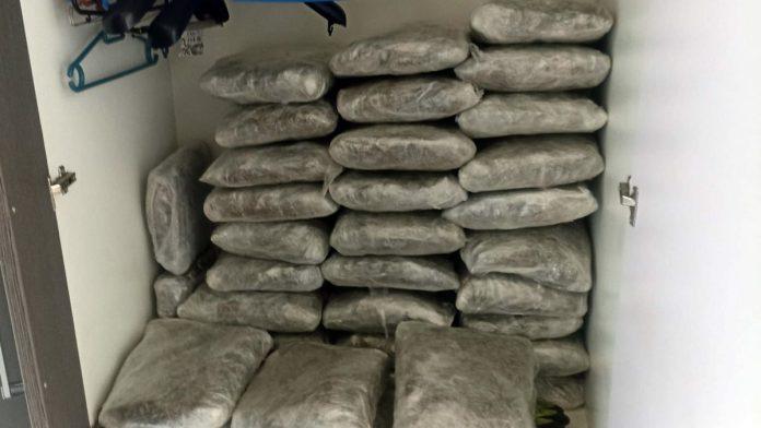 marihuana,-heroin…velika-zaplena-policije-u-beogradu:-pretresli-stan-i-automobil-dvojice-pribojaca,-evo-sta-je-sve-pronadeno-(foto)