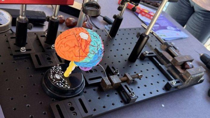 najvise-iz-“vince”:-ministarstvo-nauke-objavilo-listu-najboljih-naucnika,-srbija-“bogatija”-nego-prosle-godine