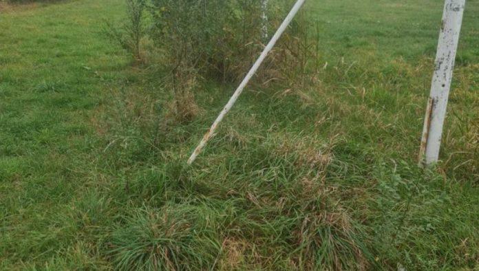 novo-resenje-u-borbi-protiv-korova:-kineski-naucnici-razvili-herbicid-koji-ne-zagaduje-zemljiste