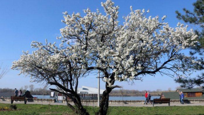 kakvo-nas-vreme-ocekuje-do-kraja-marta:-detaljna-prognoza-meteorologa-sovilja