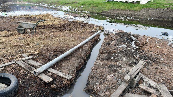 hapsenje-u-smederevu-pregradio-korito-reke-i-u-nju-ispustao-otpadne-vode-sa-farme-i-to-nije-sve!-nelegalno-proizvodio-mleko-i-mlecne-proizvode