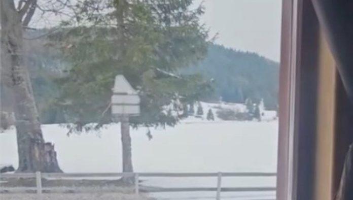 prizori-kao-iz-bajke:-sneg-veje-na-prvi-dan-proleca-(video)