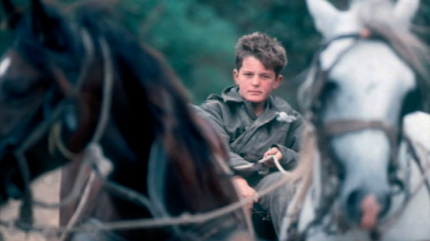 Од-дечака-до-симбола-–-33-године-од-погибије-Споменка-Гостића