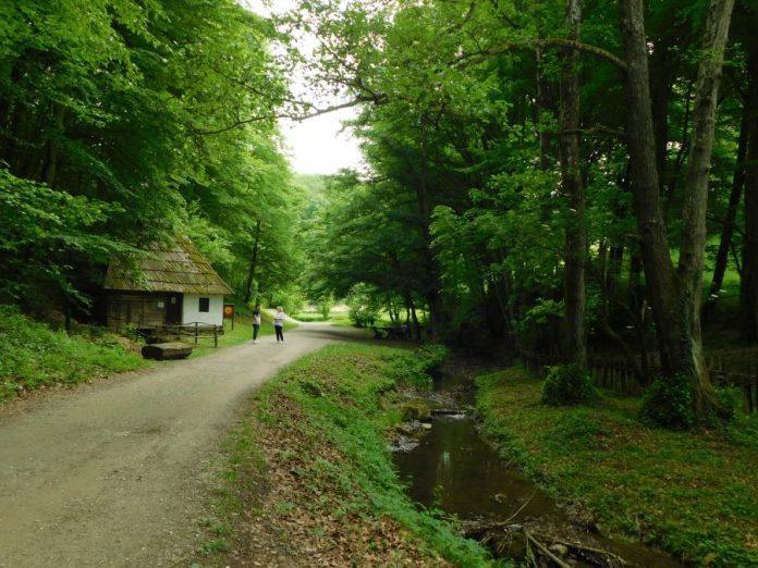 sprecavanje-zagadenja-zeravije-uz-podrsku-drzave-realizacija-vaznog-projekta-u-trsicu-(foto)