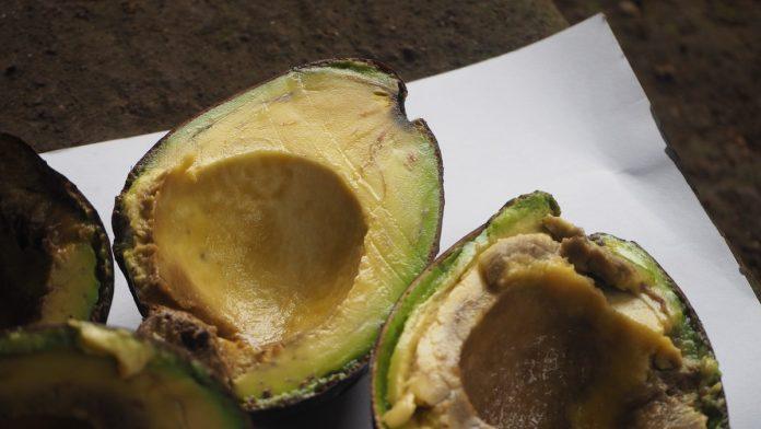 kada-je-braon-avokado-bezbedan-za-jelo-a-kada-ne