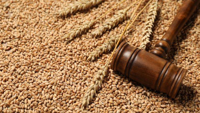 ima-li-potresa-na-produktnoj-berzi?-najnoviji-podaci:-rast-cene-psenice-i-mineralnog-dubriva